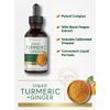Carlyle Liquid Turmeric and Ginger Supplement | 2 fl oz | with Black Pepper | Vegan, Non-GMO, Gluten Free