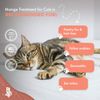 Mange Treatment for Cats