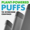 Puffer Inhaler - Behavioral Support - Made in USA - Spearmint - 1 PACK