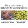 Anjo  Professional Skin Soft Snail Peeling Gel