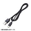 Sanwa Supply PDA-STN29BK Rotating Headphone Hook (with USB Port)