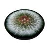 Dandelion Seeds White Flower on Green PopSockets Adhesive PopGrip