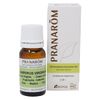Cedar, 0.3 fl oz (10 ml), Pranarom Essential Oil Tree-based Middle Notebook