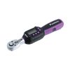Pro-Auto Replacement Digital Torque Wrench 1/4" (6.35) DR. Ratchet Head WPC-R02