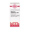 Magnesium phosphoricum LM VI DHU Dilution, 10 ml Lösung
