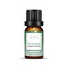 Elora 10ml Eucalyptus Essential Oil, 100% Pure & Natural