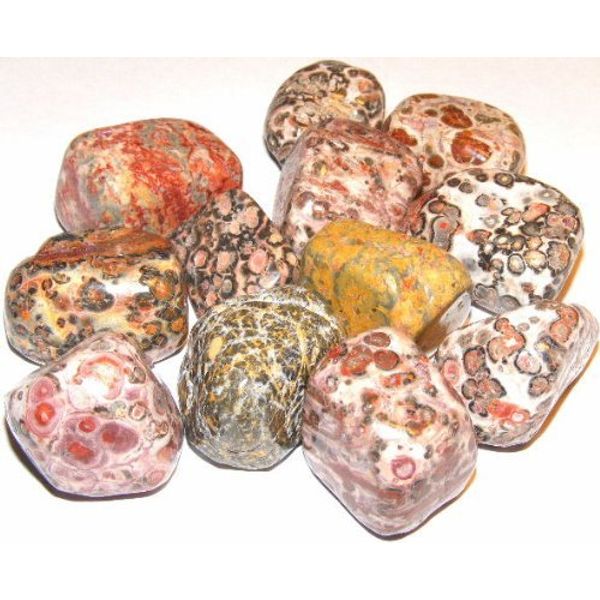 None Rhyolite/Leopard Skin Jasper Tumblestone - Extra Large