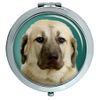 Anatolian Shepherd Dog Compact Mirror