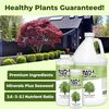Maple Tree Fertilizer, Complete Liquid Maple Tree Plant Food, 8 oz (250mL)