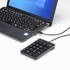 Sanwa Supply NT-18CUBK Wired USB Type-C Connection Isolation Key Black