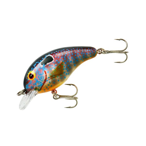 BANDIT LURES Series 100 Crankbait Bass Fishing Lures, Fishing Accessories, Dives to 5-feet Deep, 2', 1/4 oz, Sun Perch, (BDT1D35)