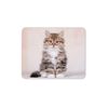 Cute Kitten Mouse Mat Pad - Cat Tabby Pet Pretty Animal Fun Computer #15064