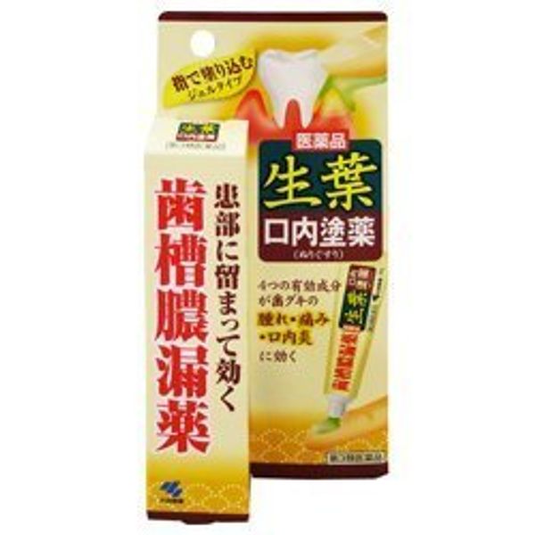 【第3類医薬品】生葉口内塗薬 20g ×5