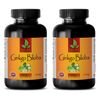 Brain Boost Focus Memory Supplement - GINKGO BILOBA Extract 120mg - 2 Bottles