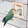 Mirror with Perch, Bird, Toy, Mirror, Perch, Toy