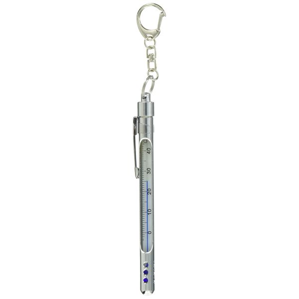 CORMORAN Water Thermometer Silver