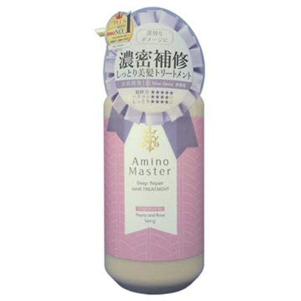 Amino Master Deep Repair Treatment