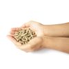ParaSym+ - Aids Metabolic Activity | Assists Healthy Sleeping Patterns | Supports Cognitive Function | 30 Day Supply