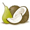 Burt`s Bees Coconut and Pear Lip Balm