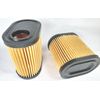 2 Pack - Oregon 30-817 (30-031) Air Filter OEM Replacement Filter Tecumseh 36905