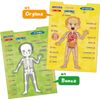 I-Poster My Body - Interactive Educational Human Anatomy Talking Game Toy | Lear