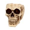 Nemesis Now Lobo Ashtray 13.5cm Ivory