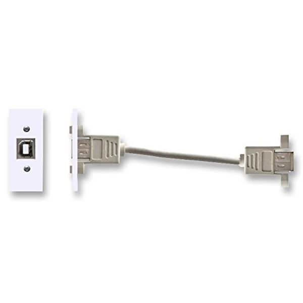 Module, USB, SNAP in B-B/Wall Plates and Floor Boxes Audio Visual Cable - AV19554