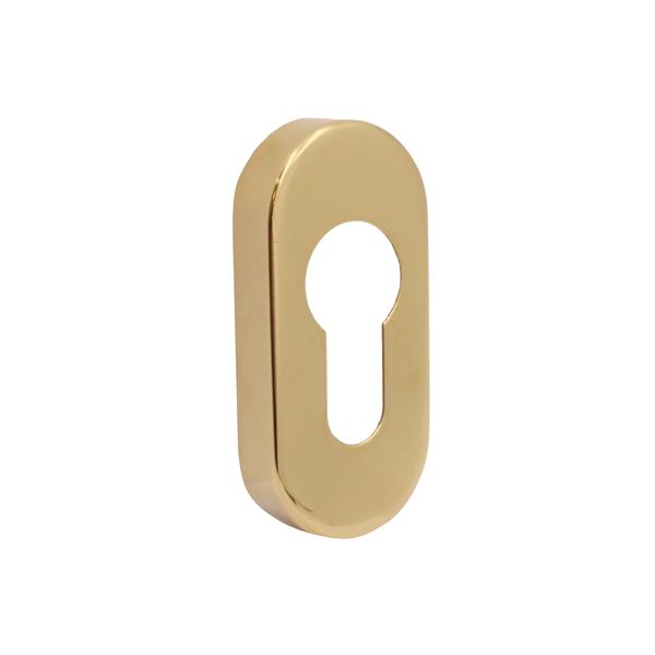 Upright Euro Escutcheon Oval Shaped Keyhole Cover - PVD Brass - Pack of 1