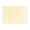 New 40ml Artist Oil Unbleached Titanium