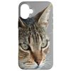 Stunning Tabby Cat Close Up Portrait Vector Case for iPhone 16 Plus