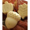 Moisturizer Shea Butter Organic Shampoo. 