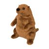 Douglas Mr G. Groundhog Plush Stuffed Animal