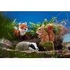 Living Nature Soft Toy - Large Badger (27cm)