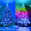 LED String Copper Wire RGB Fairy Lights Remote Smart App USB Control Xmas Decor