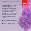 Solaray Berberine Phytosome - 9X Absorption and Easy-to-Digest - Standardized