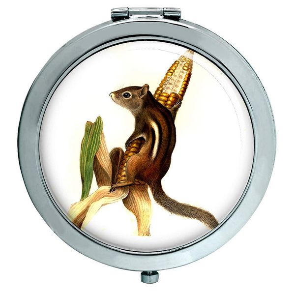 Chipmunk Compact Mirror