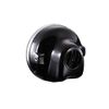 Mini Moto Marshall Monkey Gorilla Lamp Full Kit, Clear