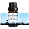 TeaTree Essential Oil 10ml - 100% Pure by Butterfly Express