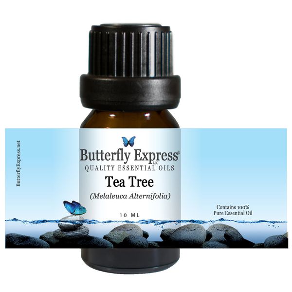 TeaTree Essential Oil 10ml - 100% Pure by Butterfly Express