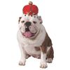 Rubie's King's Crown Pet Costume Accessory, Medium/Large, Multicolor