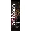 Artègo It's Color Permanent Paint 1.0 - Black - 150 ml