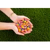 Nerds Big Chewy Candy, 6 Ounce, Pack of 12