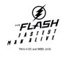 GRAPHICS & MORE The Flash TV Series Logo Tow Trailer Hitch Cover Plug Insert