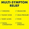Advil Multi Symptom Cold and Flu Medicine 20 Coated Tablets for Adults