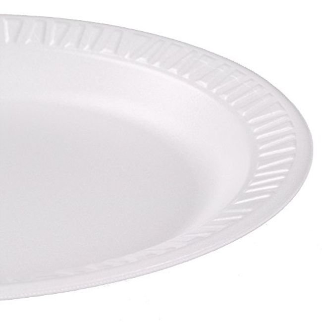 Styrofoam Plate 6