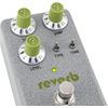Fender Spatial Effect Hammertone™ Reverb