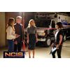 NCIS - Season 16 [6 DVDs]