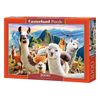 Puzzle 1000 pièces : Selfie de Lamas