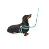Doodlebone Boomerang Dog Harness, Apple, 8-10