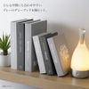 mono tone Ash Dummy Book Set of 6